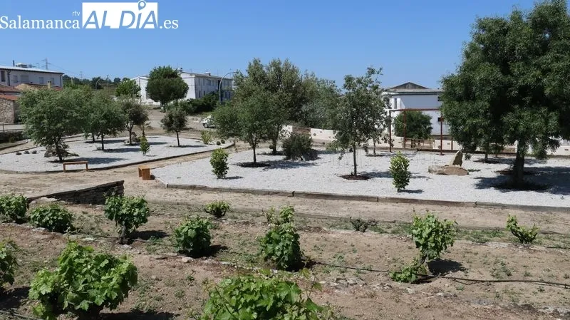 Clausura del taller de empleo de jardinería en Villarino de los Aires / CORRAL