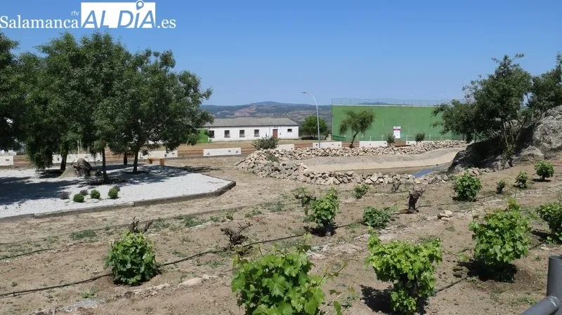 Clausura del taller de empleo de jardinería en Villarino de los Aires / CORRAL