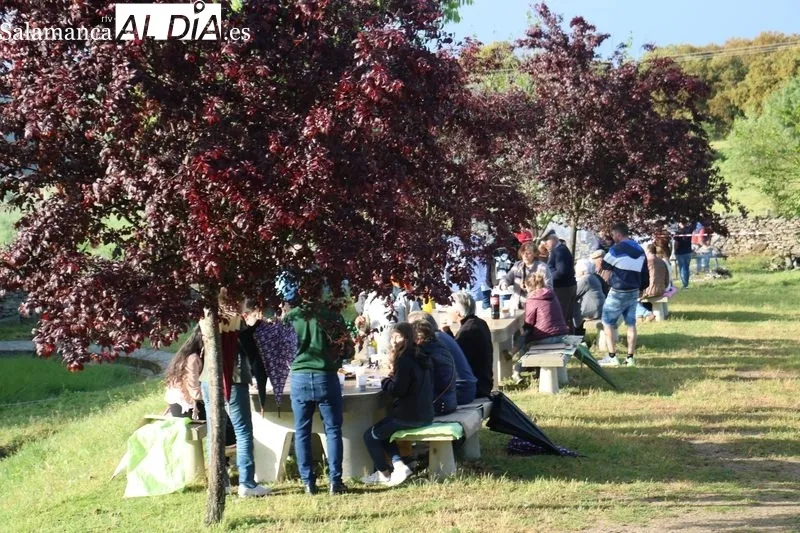 La celebración de San Isidro en el municipio de Bogajo estuvo presidida por el mayordomo Manuel Román González / CORRAL