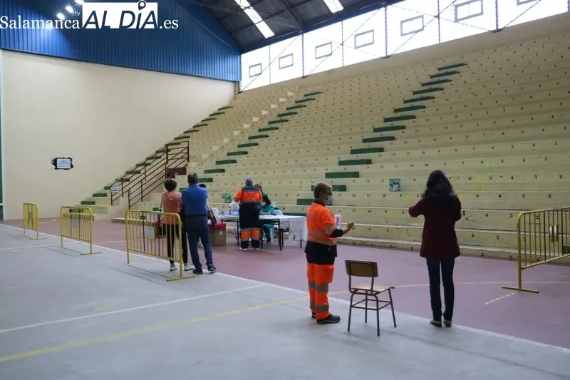 Momento de la vaunación de repesca este martes 24 de mayo en Vitigudino / CORRAL 