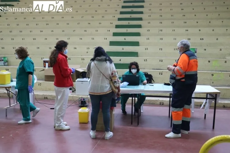 Momento de la vaunación de repesca este martes 24 de mayo en Vitigudino / CORRAL 