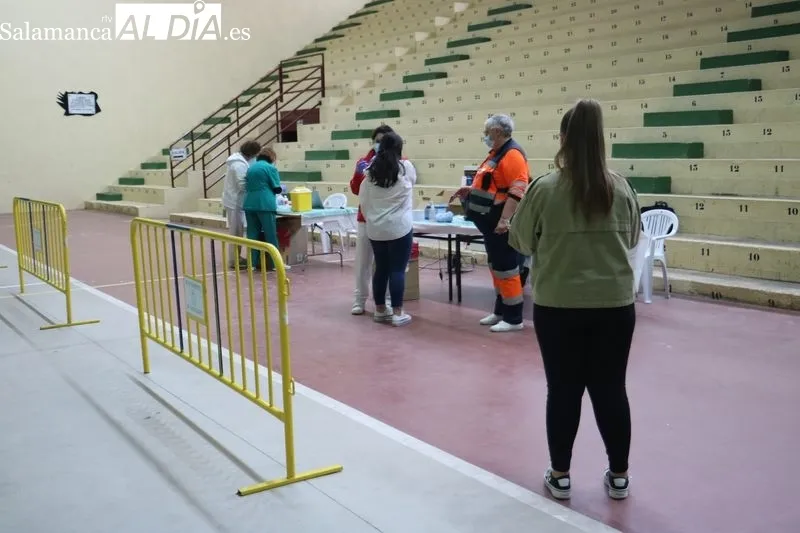 Momento de la vaunación de repesca este martes 24 de mayo en Vitigudino / CORRAL 