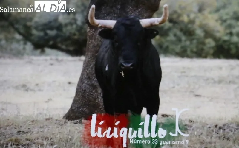 Acto de presentación del VI Toro de Cajón del pre-Corpus de Vitigudino, festejo promovido por la ASociación Taurina Villa de Vitigudino / CORRAL  