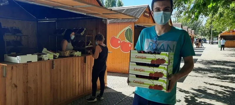 La cereza es un exlibris del fértil valle de Vilariça, en Tras os Montes