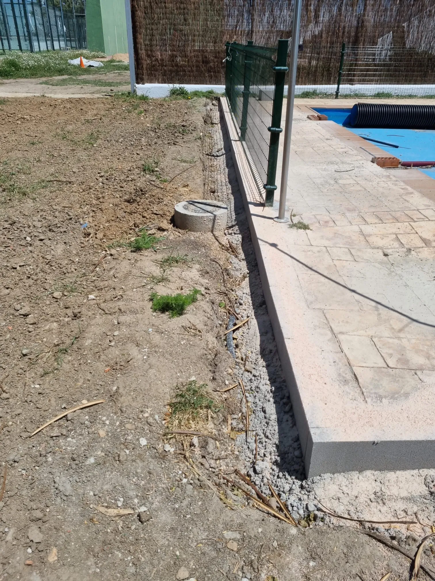 Foto 4 - El PP afirma que la realidad de Pe&ntilde;aranda hoy son "zonas verdes descuidadas y sin un mantenimiento y las piscinas muy lejos de estar preparadas en fecha"