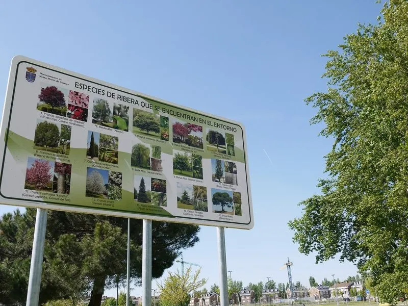 Foto 3 - Los vecinos de Salamanca disfrutan de la ruta en bici a orillas el Tormes