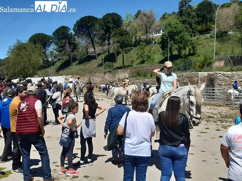 Foto 17 - Buena acogida de la Tradicional Feria de Ganado a B&eacute;jar