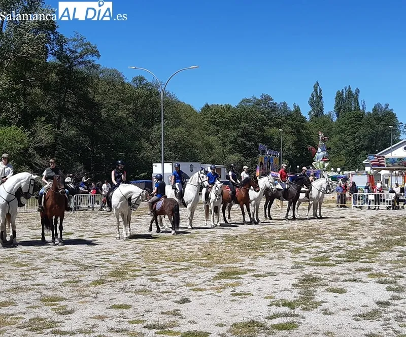 Foto 15 - Buena acogida de la Tradicional Feria de Ganado a B&eacute;jar