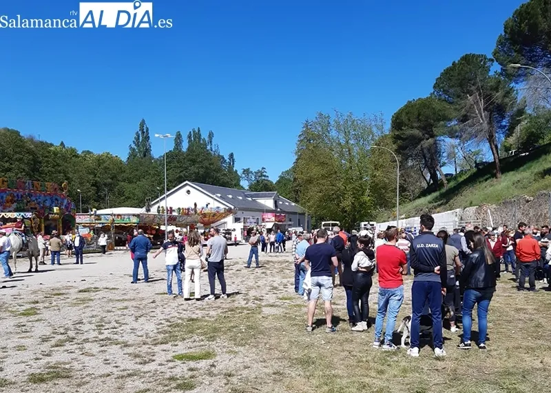 Foto 3 - Buena acogida de la Tradicional Feria de Ganado a B&eacute;jar