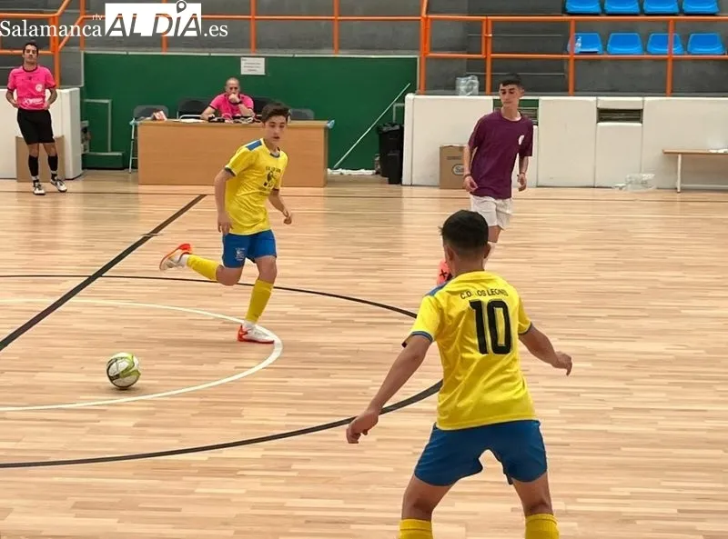 El equipo Infantil de fútbol sala del CD Los Leones de Vitigudino juega este sábado en Zamora