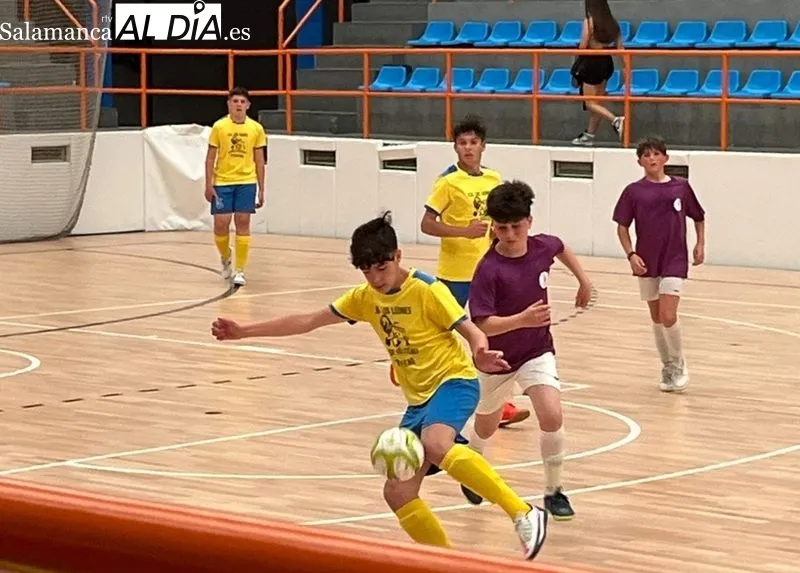 El equipo Infantil de fútbol sala del CD Los Leones de Vitigudino juega este sábado en Zamora