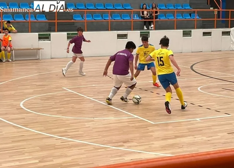 El equipo Infantil de fútbol sala del CD Los Leones de Vitigudino juega este sábado en Zamora