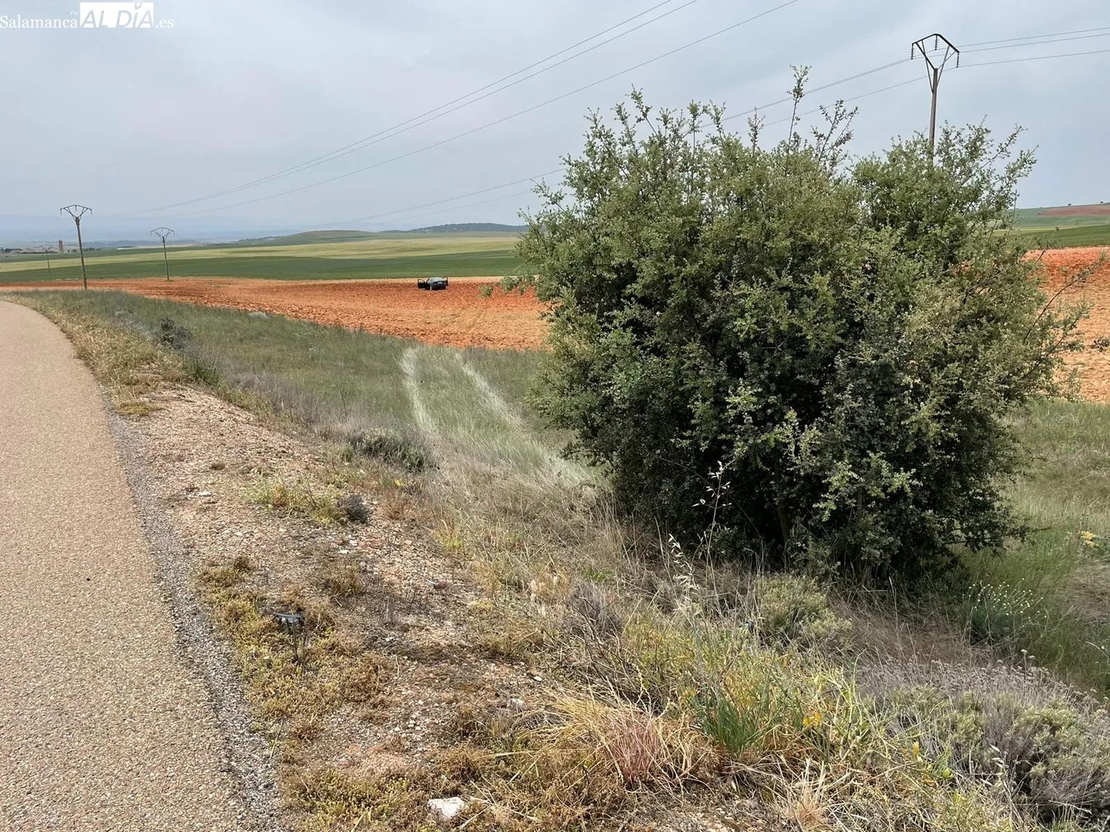 Foto 2 - Colisi&oacute;n de dos veh&iacute;culos en la carretera de Alba de Tormes