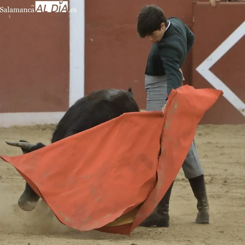 Foto 4 - Tercera tienta del Bols&iacute;n Taurino 'Botijo de Filigrana'