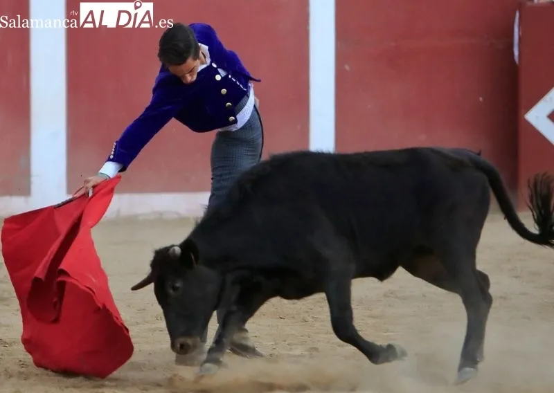 Foto 3 - Tercera tienta del Bols&iacute;n Taurino 'Botijo de Filigrana'