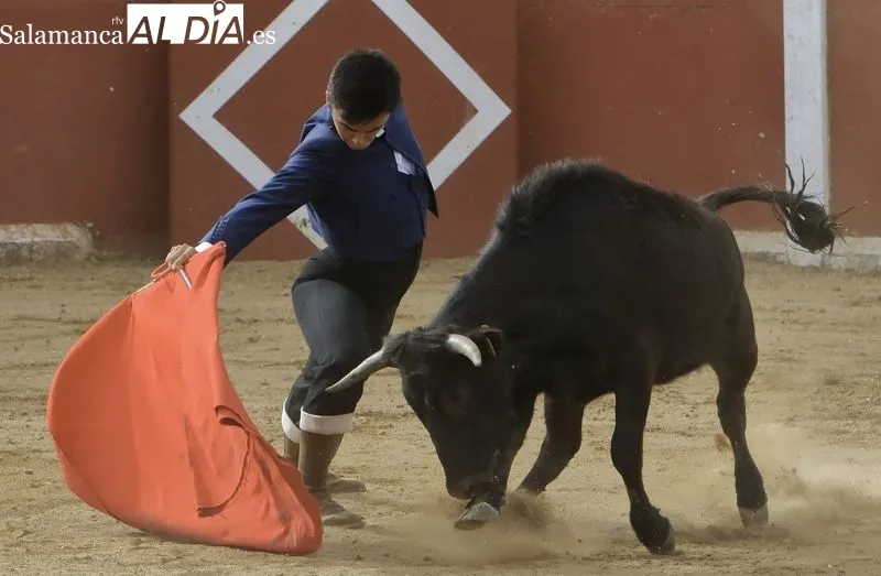 Foto 2 - Tercera tienta del Bols&iacute;n Taurino 'Botijo de Filigrana'