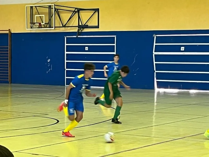 Foto 6 - Los infantiles del CD Los Leones de Vitigudino juegan este domingo la final del campeonato regional