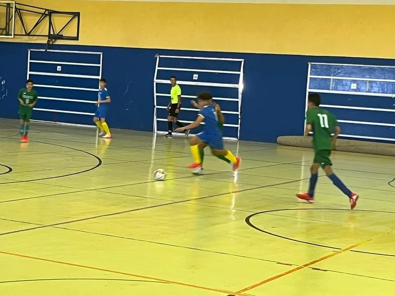 Foto 5 - Los infantiles del CD Los Leones de Vitigudino juegan este domingo la final del campeonato regional