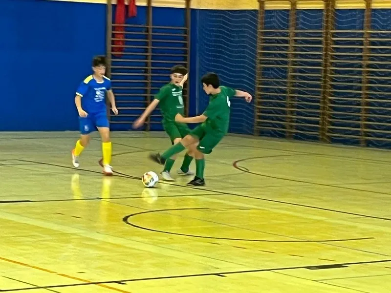Foto 4 - Los infantiles del CD Los Leones de Vitigudino juegan este domingo la final del campeonato regional