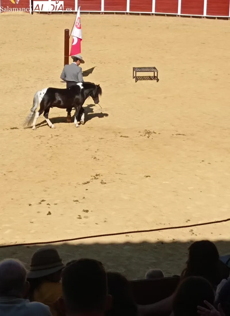 Foto 4 - El buen tiempo acompa&ntilde;a en el d&iacute;a del caballo de B&eacute;jar