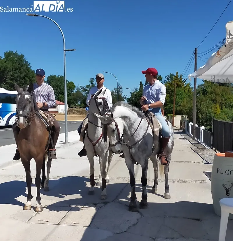 Foto 3 - El buen tiempo acompa&ntilde;a en el d&iacute;a del caballo de B&eacute;jar