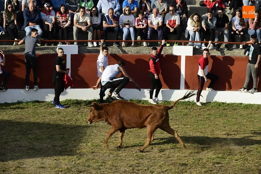 Momentos de los eventos taurinos en Saelices/ Rep.Gráfico: Adrián M. Pastor