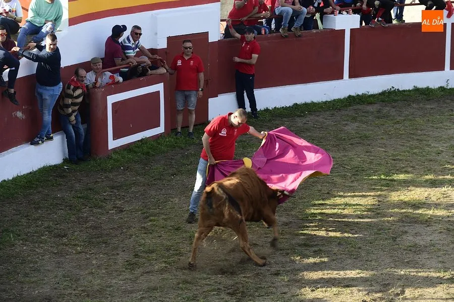 Momentos de los eventos taurinos en Saelices/ Rep.Gráfico: Adrián M. Pastor