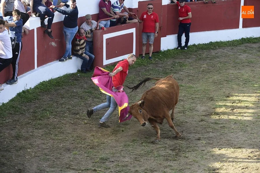 Momentos de los eventos taurinos en Saelices/ Rep.Gráfico: Adrián M. Pastor