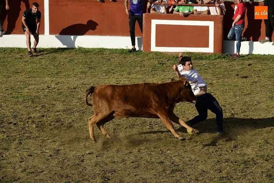 Momentos de los eventos taurinos en Saelices/ Rep.Gráfico: Adrián M. Pastor