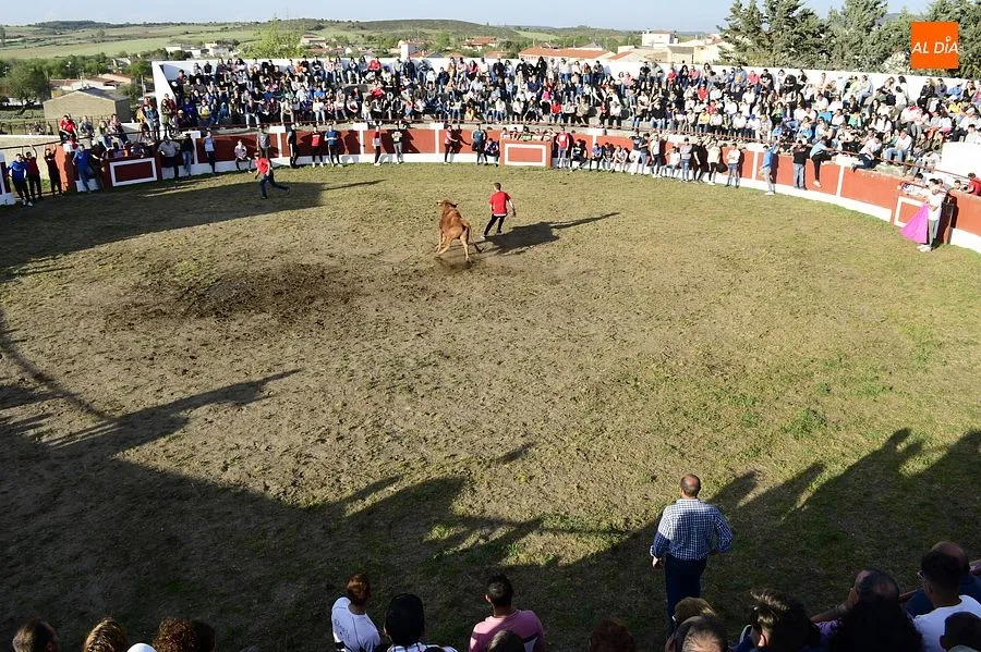 Momentos de los eventos taurinos en Saelices/ Rep.Gráfico: Adrián M. Pastor