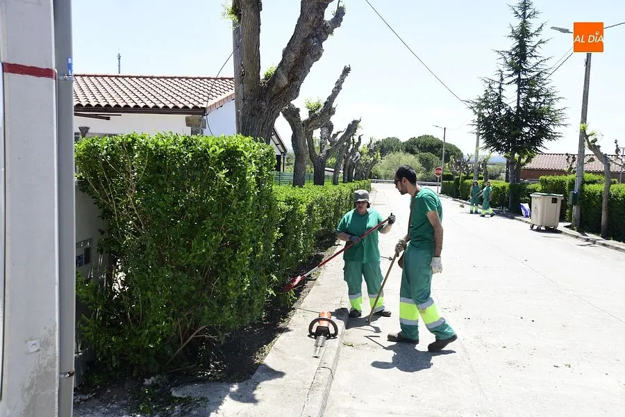 Foto 2 - Un proyecto de  urbanizaci&oacute;n de terrenos a punto de ser una realidad para el crecimiento de Carpio de Azaba