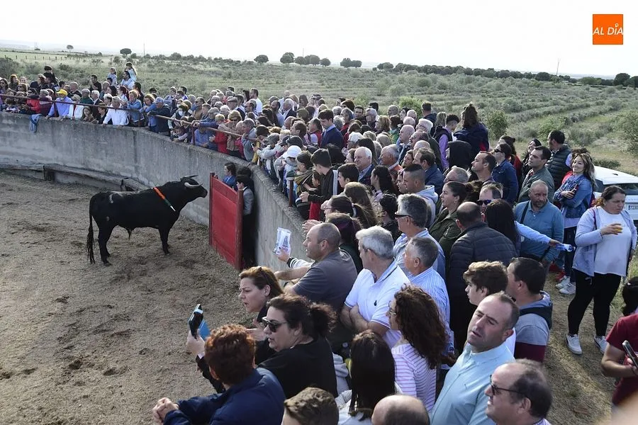 Festejos populares en Carpio de Azaba | Rep: Gráfico: Adrián M. Pastor