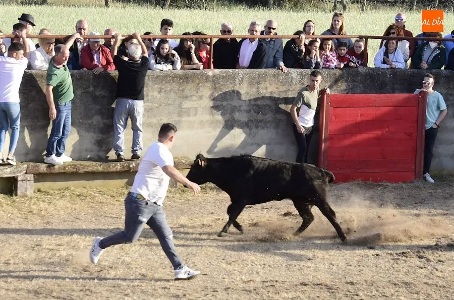 Festejos populares en Carpio de Azaba | Rep: Gráfico: Adrián M. Pastor