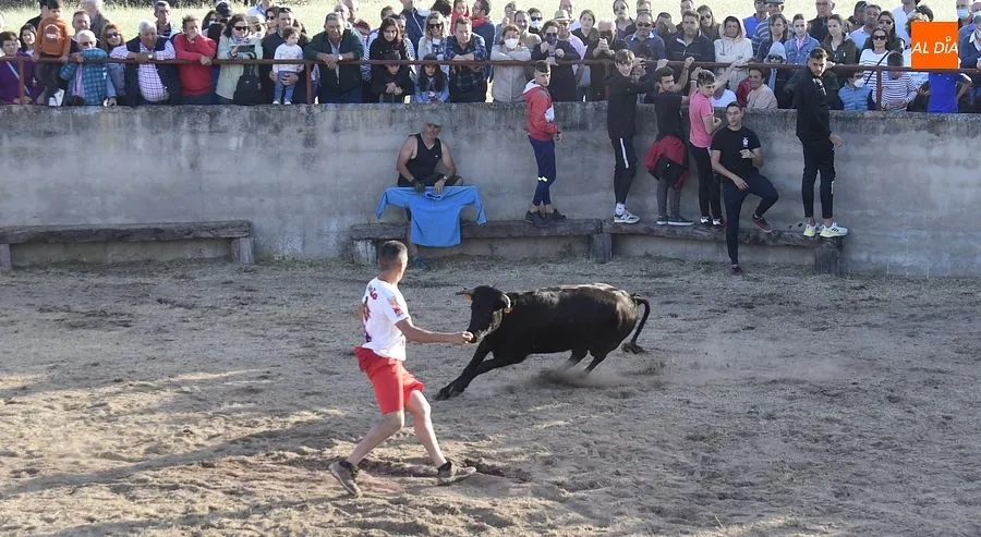 Festejos populares en Carpio de Azaba | Rep: Gráfico: Adrián M. Pastor