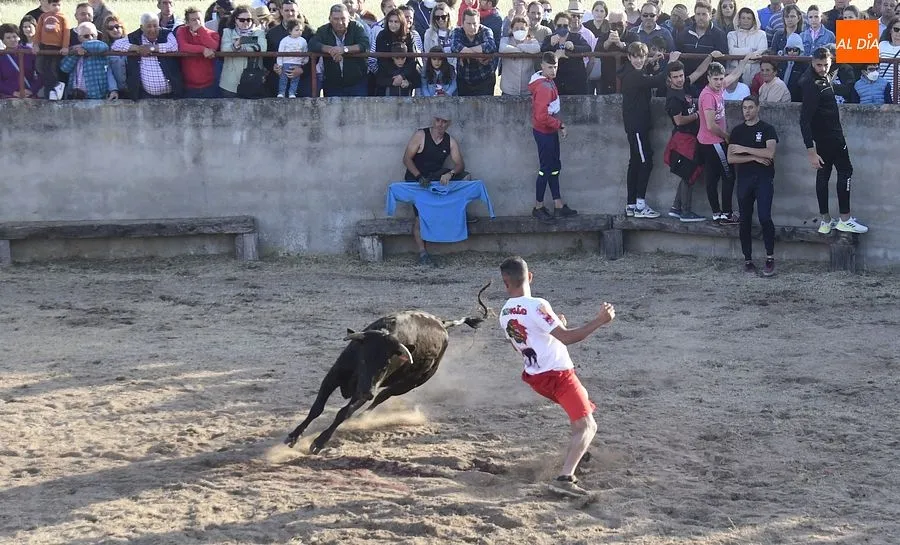 Festejos populares en Carpio de Azaba | Rep: Gráfico: Adrián M. Pastor
