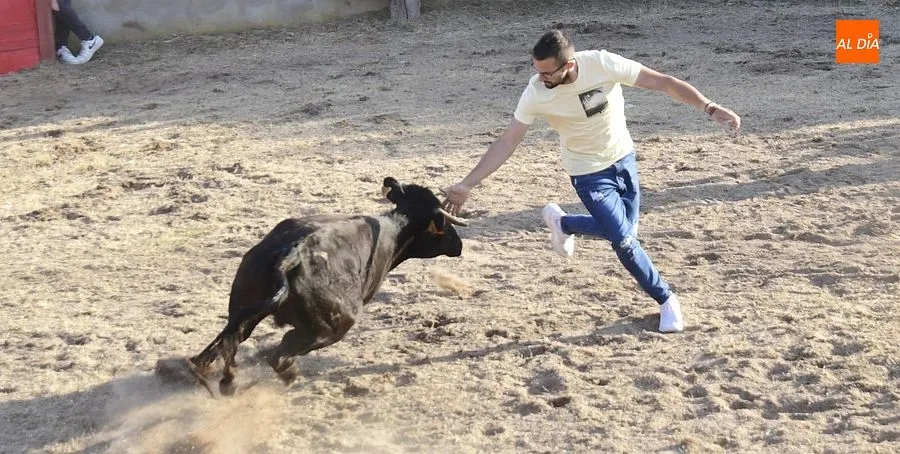 Festejos populares en Carpio de Azaba | Rep: Gráfico: Adrián M. Pastor