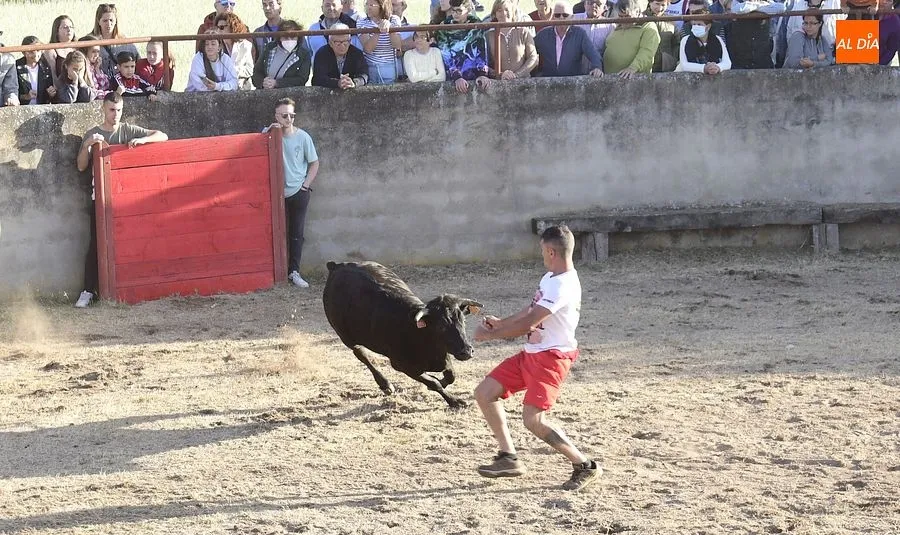 Festejos populares en Carpio de Azaba | Rep: Gráfico: Adrián M. Pastor