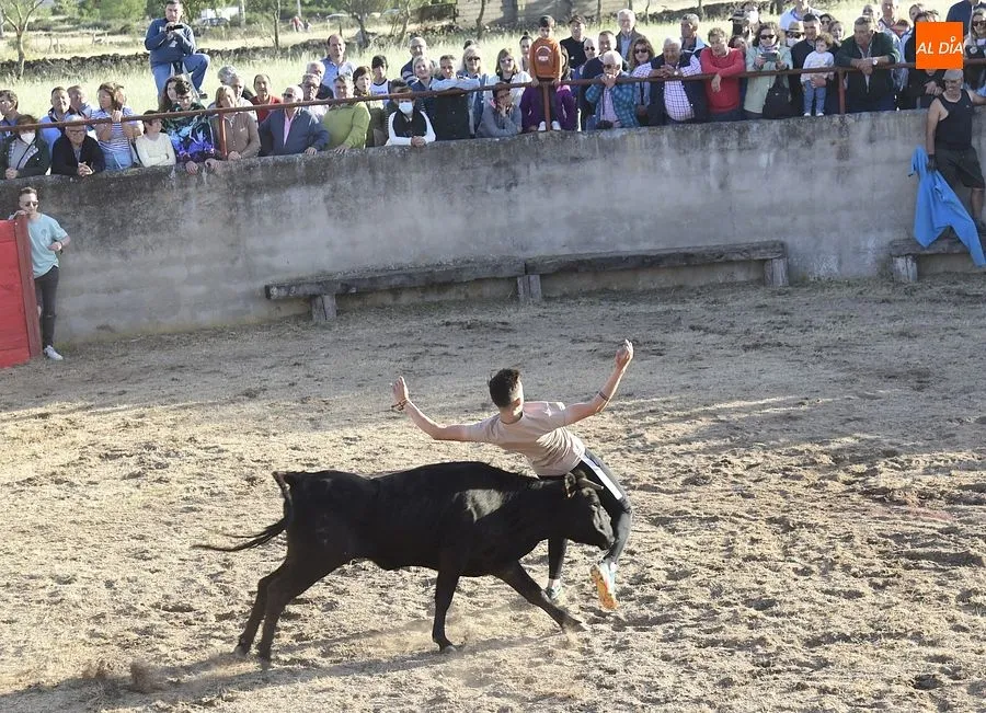 Festejos populares en Carpio de Azaba | Rep: Gráfico: Adrián M. Pastor
