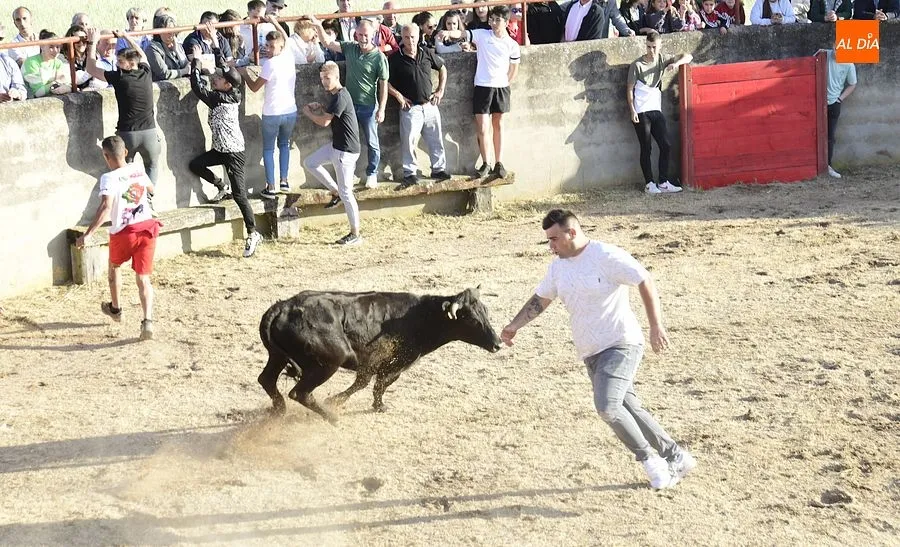 Festejos populares en Carpio de Azaba | Rep: Gráfico: Adrián M. Pastor