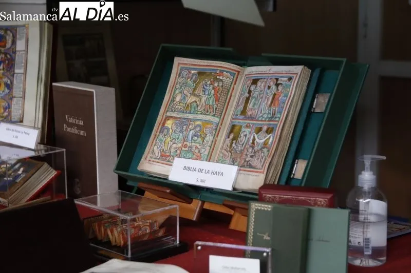 Última jornada de la Feria del Libro en Salamanca - David Sañudo