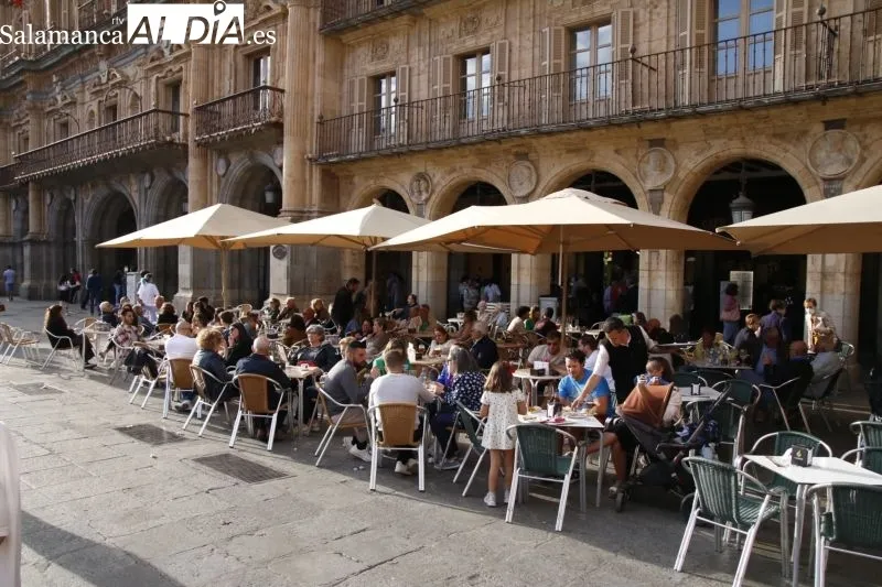 Última jornada de la Feria del Libro en Salamanca - David Sañudo