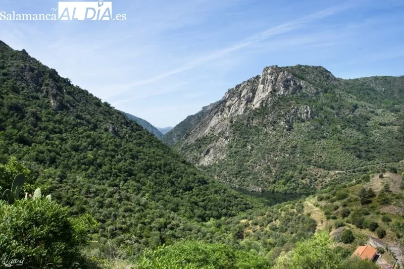 Crucero en Arribes del Duero - Manuel Lamas