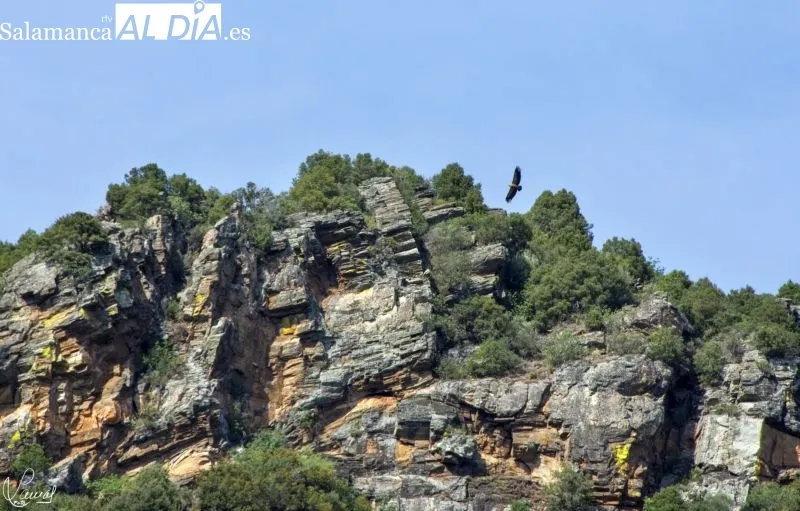 Crucero en Arribes del Duero - Manuel Lamas