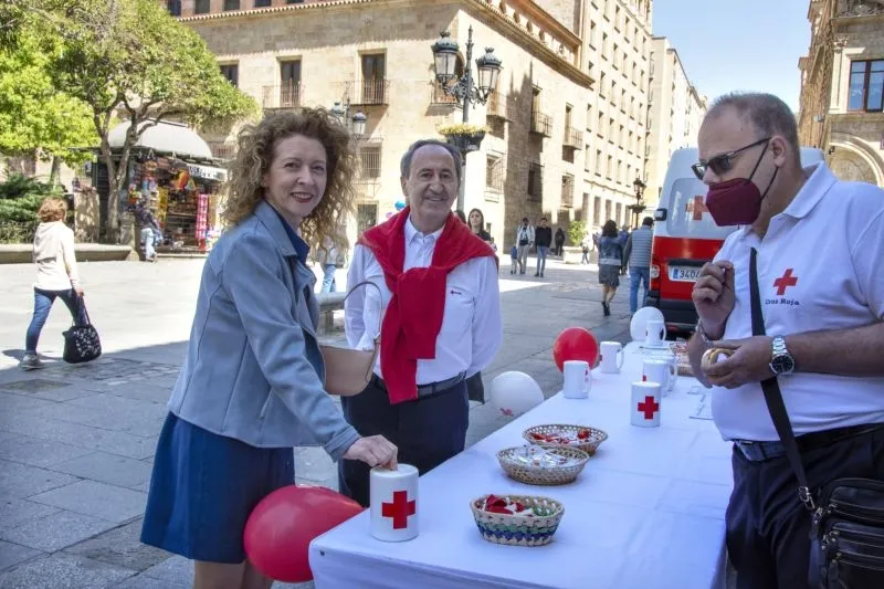 Foto 20 - Los voluntarios de Cruz Roja viven con intensidad el D&iacute;a de la Banderita