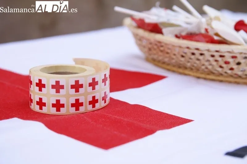 Día de la Banderita en Salamanca. Foto de David Sañudo
