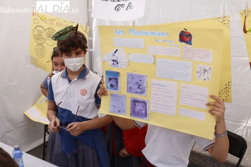 Feria de la Ciencia 'Primavera Científica' en la plaza de los Bandos. Fotos de David Sañudo