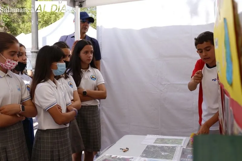 Feria de la Ciencia 'Primavera Científica' en la plaza de los Bandos. Fotos de David Sañudo