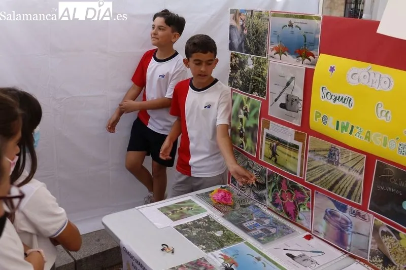 Feria de la Ciencia 'Primavera Científica' en la plaza de los Bandos. Fotos de David Sañudo