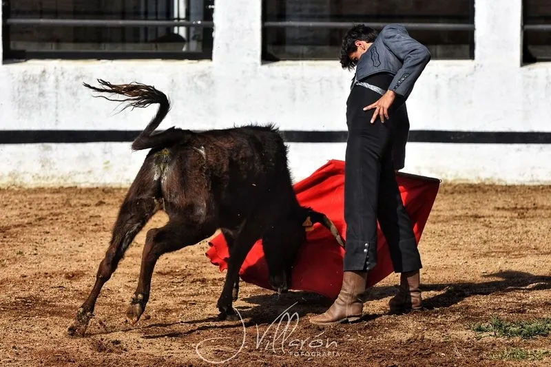 Foto 5 - Arranca el V Bols&iacute;n Taurino 'Botijo de Filigrana'