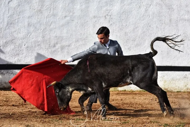 Foto 4 - Arranca el V Bols&iacute;n Taurino 'Botijo de Filigrana'